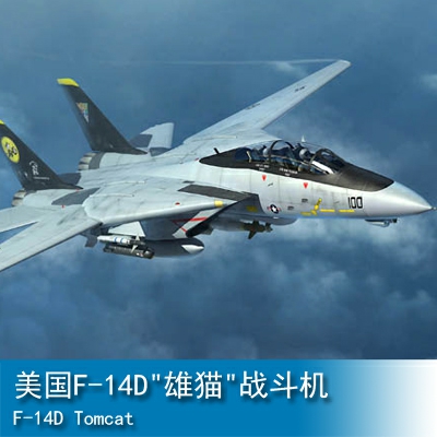Trumpeter F-14D Tomcat 1:144 Fighter 03919